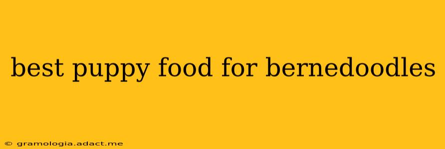 best puppy food for bernedoodles