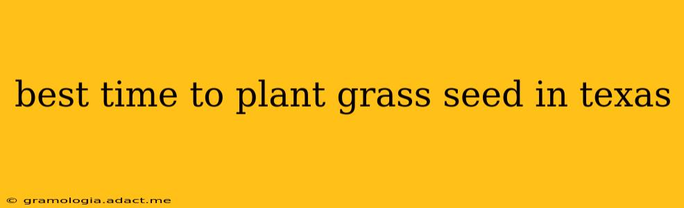 best time to plant grass seed in texas