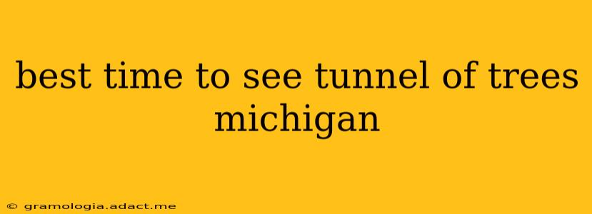 best time to see tunnel of trees michigan