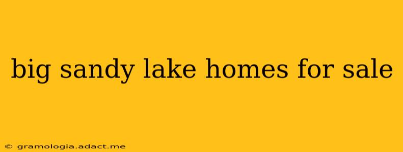 big sandy lake homes for sale
