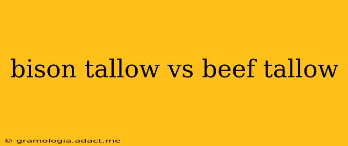 bison tallow vs beef tallow