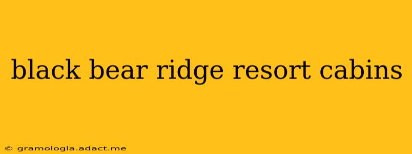 black bear ridge resort cabins
