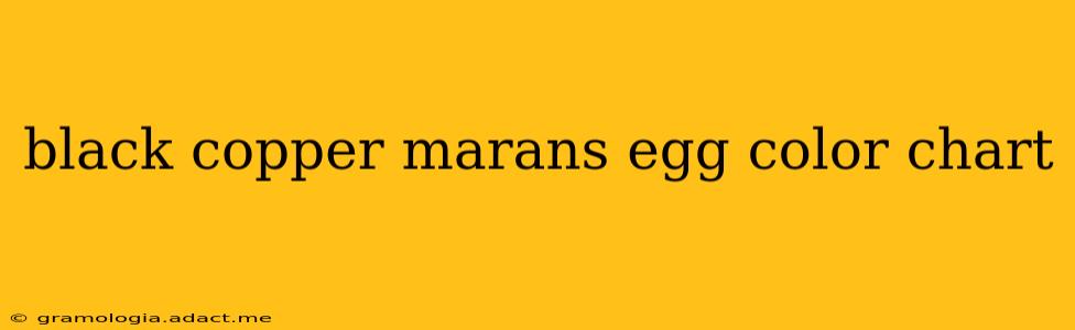 black copper marans egg color chart