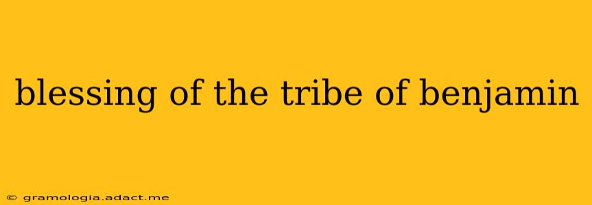 blessing of the tribe of benjamin