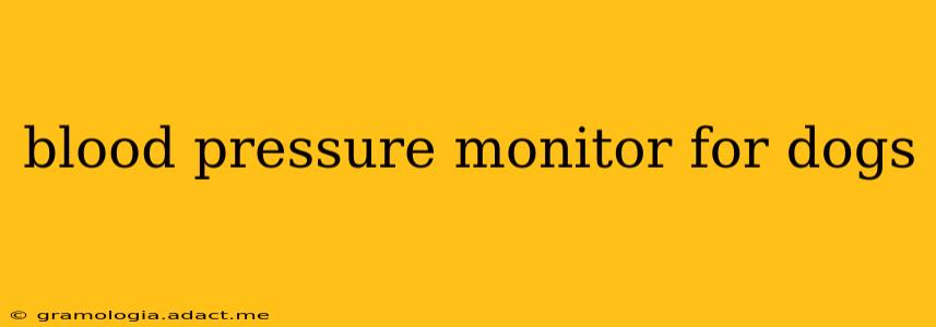 blood pressure monitor for dogs
