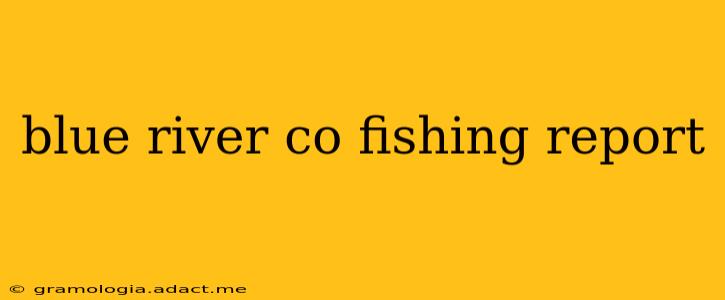 blue river co fishing report
