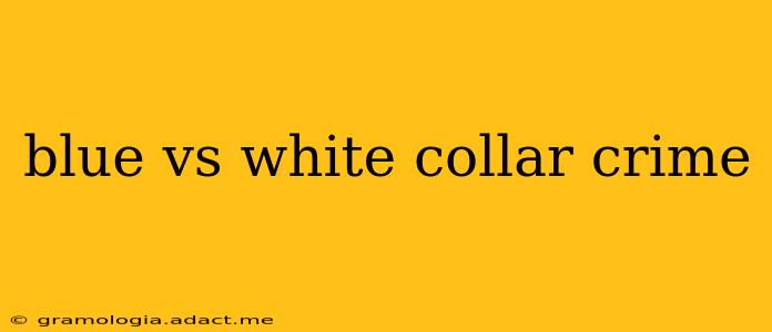 blue vs white collar crime