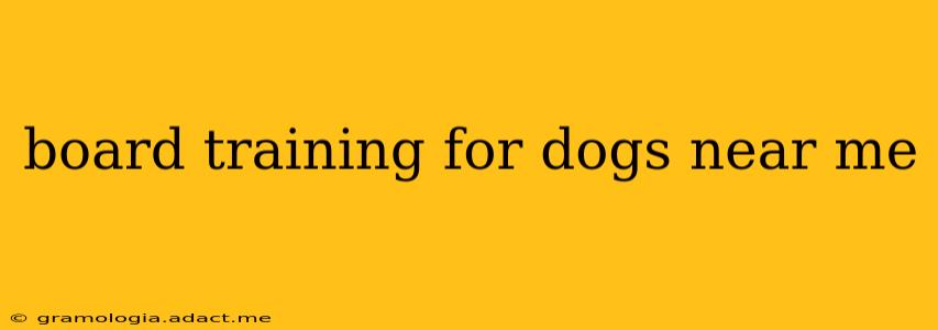 board training for dogs near me