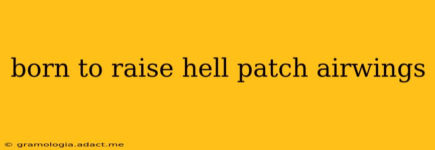 born to raise hell patch airwings