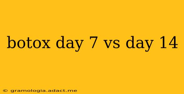 botox day 7 vs day 14
