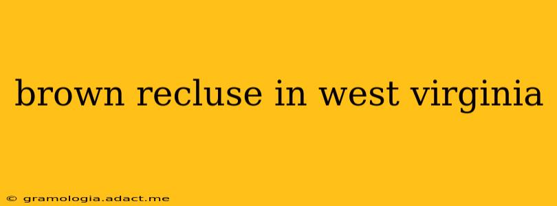 brown recluse in west virginia