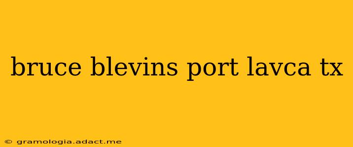 bruce blevins port lavca tx