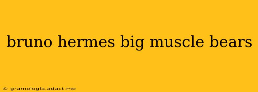 bruno hermes big muscle bears bruno hermes big muscle bears