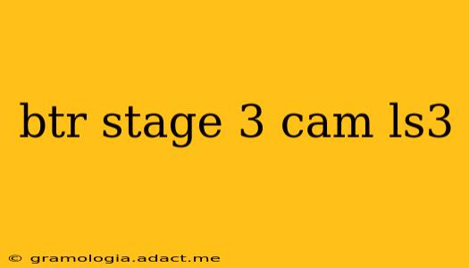 btr stage 3 cam ls3