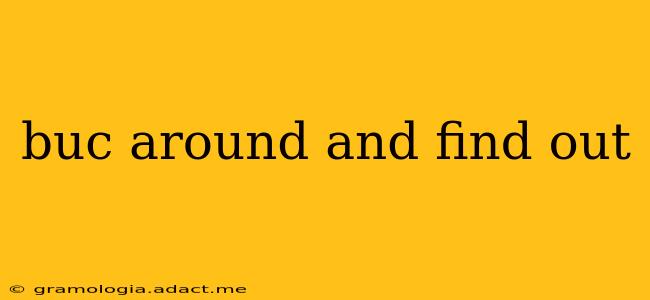buc around and find out buc around and find out