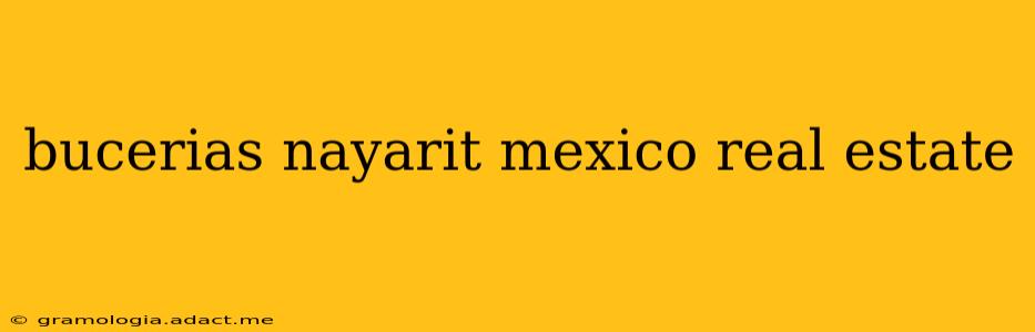 bucerias nayarit mexico real estate