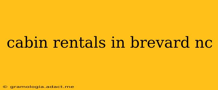 cabin rentals in brevard nc