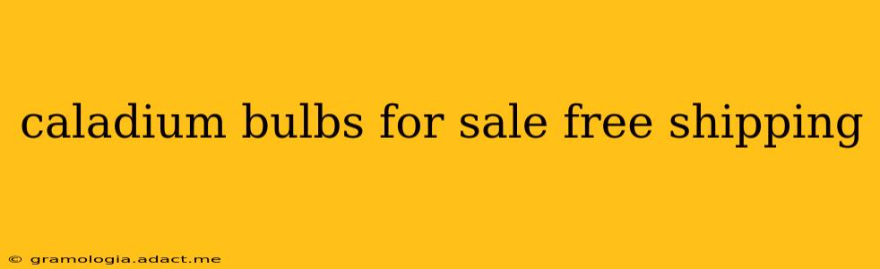 caladium bulbs for sale free shipping