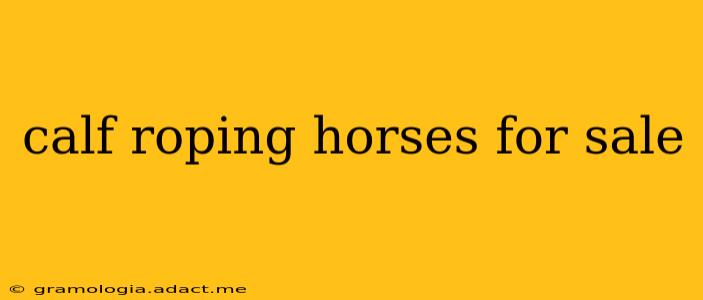 calf roping horses for sale