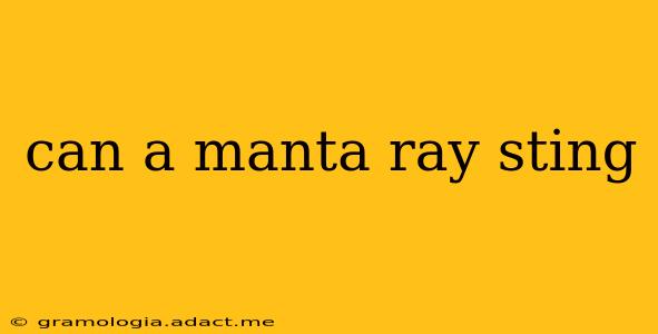 can a manta ray sting