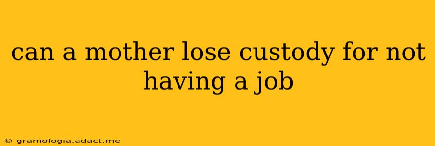 can a mother lose custody for not having a job
