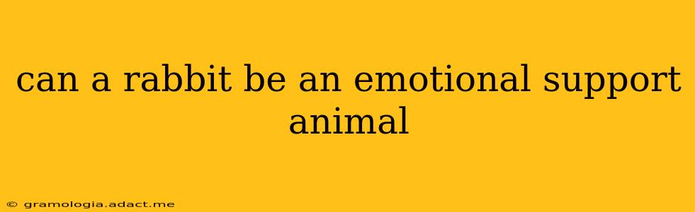 can a rabbit be an emotional support animal