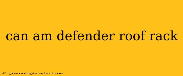 can am defender roof rack