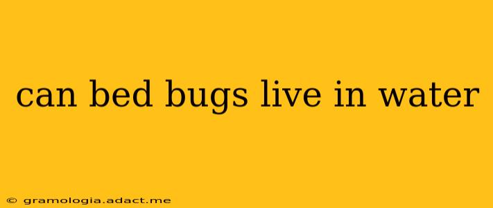 can bed bugs live in water