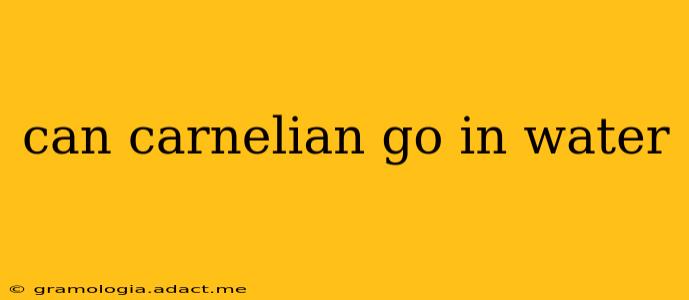 can carnelian go in water