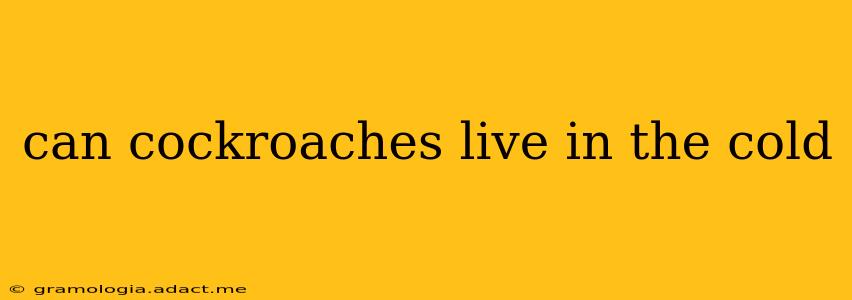 can cockroaches live in the cold