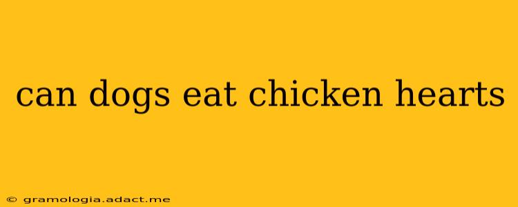 can dogs eat chicken hearts