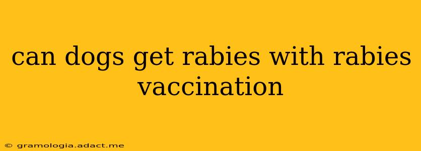 can dogs get rabies with rabies vaccination