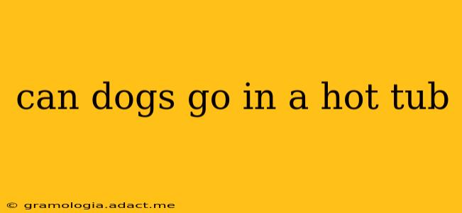 can dogs go in a hot tub