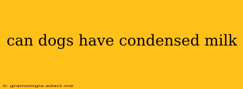 can dogs have condensed milk