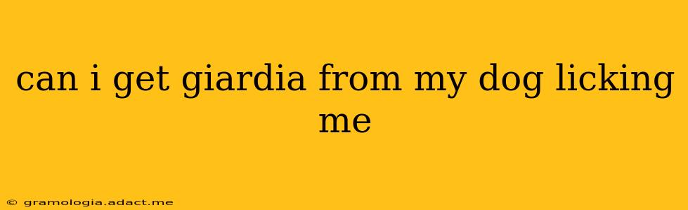 can i get giardia from my dog licking me