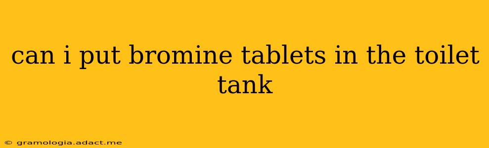 can i put bromine tablets in the toilet tank