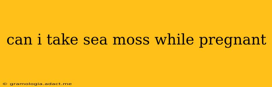 can i take sea moss while pregnant