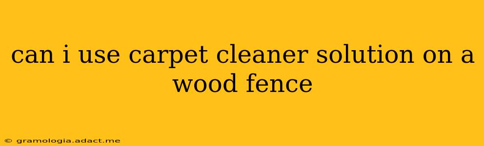 can i use carpet cleaner solution on a wood fence