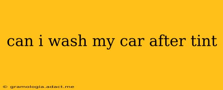 can i wash my car after tint