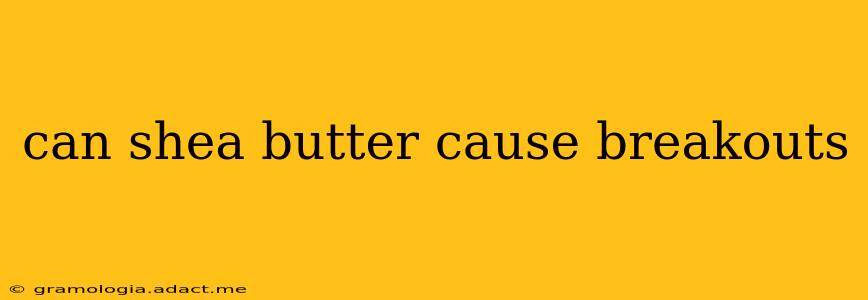 can shea butter cause breakouts