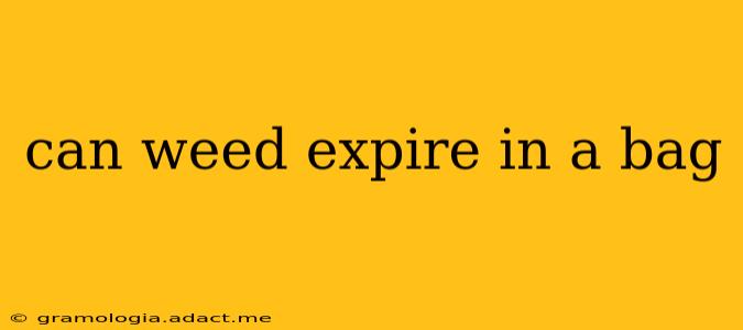 can weed expire in a bag