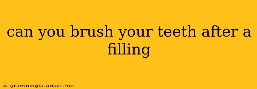 can you brush your teeth after a filling