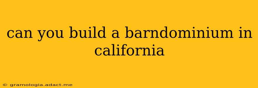 can you build a barndominium in california