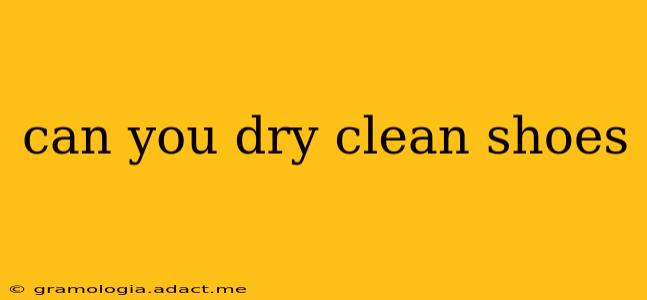 can you dry clean shoes