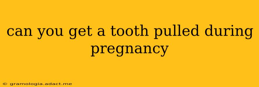 can you get a tooth pulled during pregnancy