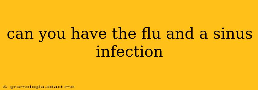 can you have the flu and a sinus infection