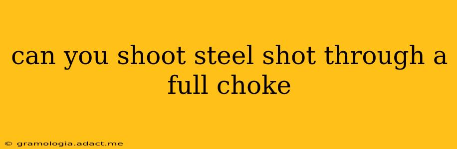 can you shoot steel shot through a full choke