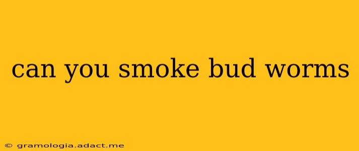can you smoke bud worms