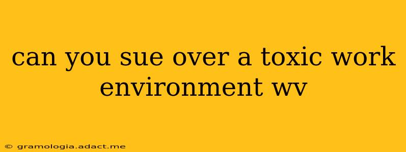 can you sue over a toxic work environment wv