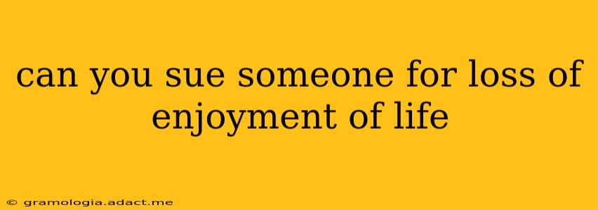 can you sue someone for loss of enjoyment of life
